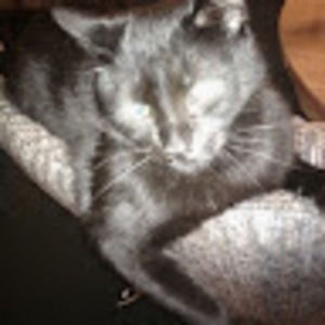 Meet your Posher, Paula